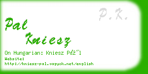 pal kniesz business card